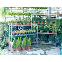 花草植物種植儲物架，立體種植貨架，園藝盆栽置物架（2）