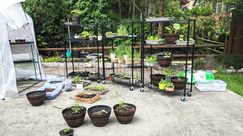 金屬溫室大棚育苗架花架 可移動(dòng) 蘑菇菜苗樹苗種植架 中山常勝